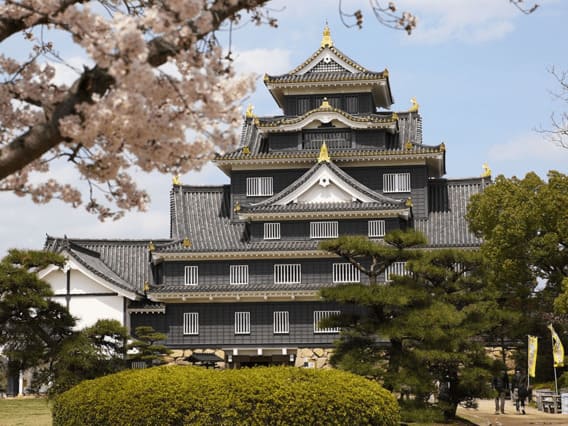 Дворец правящего императора в Японии, дворец Эдо